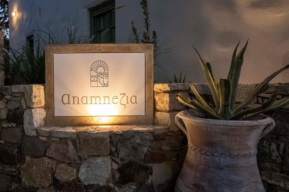 Anamnezia Luxury Suites (Adults Only) Agios Dimitrios  エクステリア 写真